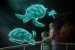 New High-Tech Hologram Zoo Mobile Entertainment - National Opportunity - Darwin, NT