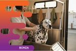 36800 Mobile Dog Washing Business With Loyal Client Base