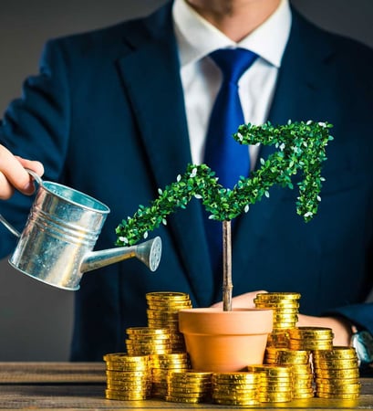 High-Return Investment Opportunity