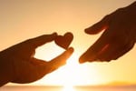 Premium Disability Support Business  Established, Profitable & Ready for Growth