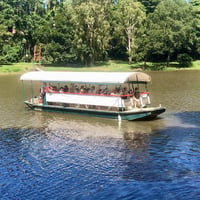 The closest Wet Tropics World Heritage river-based experience to Cairns image