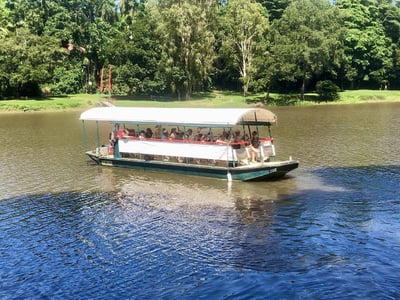 Photo of The closest Wet Tropics World Heritage river-based experience to Cairns