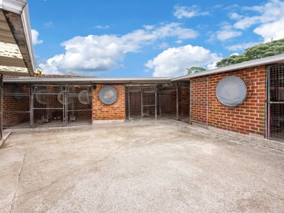 Established Parramatta Pet Care Business with 50 Year History image