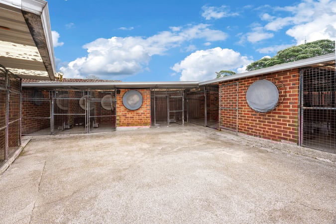 Established Parramatta Pet Care Business with 50 Year History