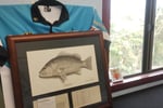 GREAT PICTURE FRAMING BUSINESS IN THE GYMPIE REGION
