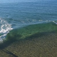 Dive into Opportunity with a Proven Paddle & Surf School! image