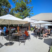 High Yield Taproom and Brewery with Wholesale Revenue image