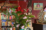 Retail Bookshop + 1-Bedroom Apartment - Ballarat, VIC