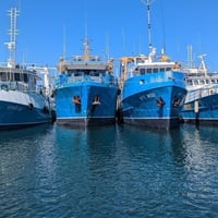UNDER OFFER - FREMANTLE FISHING BOAT HARBOUR PREMIER VENUE image
