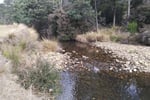Rare Secluded Private Retreat Tyne River Alternative Life Style Self Sufficiency 5Star Home $850K