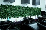 High-Performing Hair Salon Now Listed $50 000+ | Under Contract