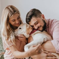 Online Pet Product Wholesaler/Distributor and Supplier #438 image