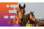 36071 Profitable Livestock Product Brand - National Distribution Network