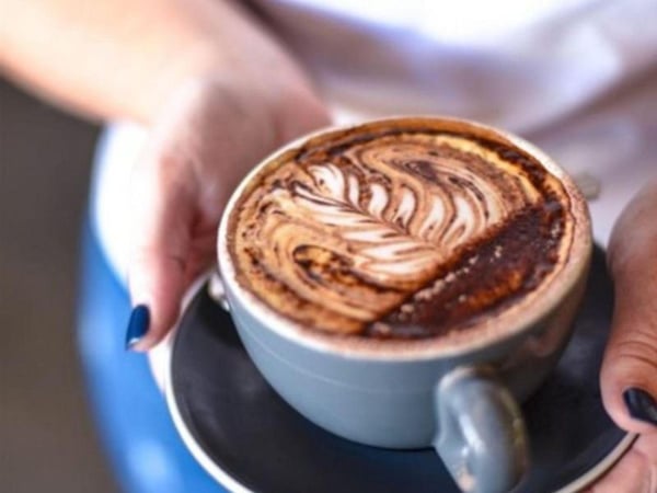 Cosy Cafe/ Restaurant For Sale - Raymond Terrace, NSW - Prime Shopping Centre Location - Weekly Turnover of $20K - Near New Fit-Out