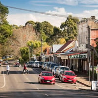 Thriving Gippsland Business-Six Figure Income image