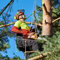 Expand Your Reach with this Proven Arboriculture Operation image