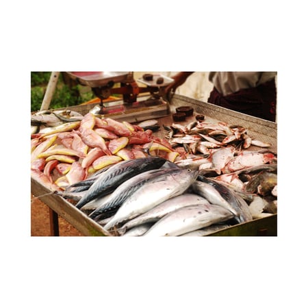 Seafood Group, investment, Licences & Quotas