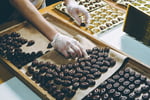 33013 Profitable Chocolate Gifting eCommerce Business