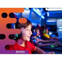 36267 - Turnkey Mobile Video Gaming Entertainment Business image