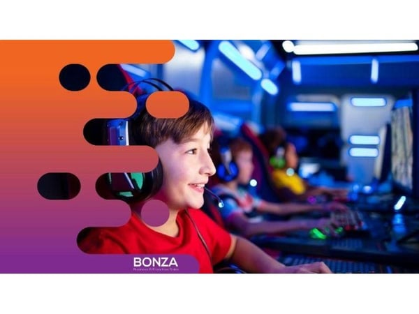 36267 - Turnkey Mobile Video Gaming Entertainment Business