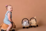 Wheely Bug Toys - Iconic Australian Toys - Online Business!