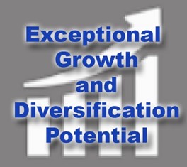 Manufacturer with Recurring Income and Real Growth Potential image