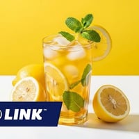 Established Gut Health Supplement Brand image