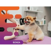 35061 Thriving Dog Grooming Business in Prime Location image