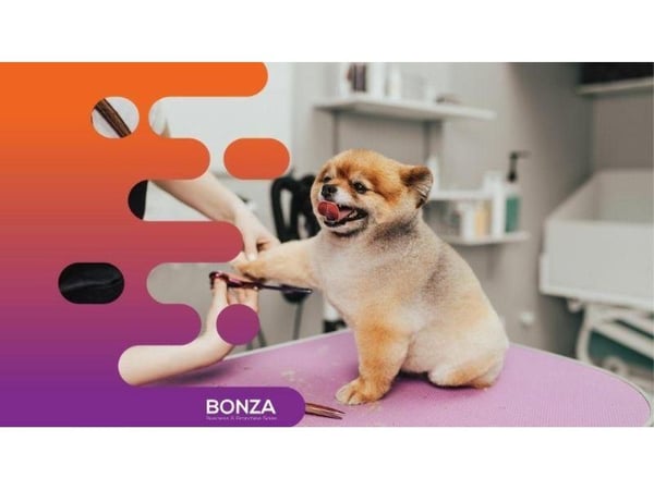 35061 Thriving Dog Grooming Business in Prime Location