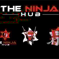 The Ninja Hub - Ninja warrior training, play and parties image