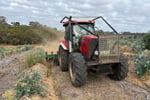 Established Plantation Contractor