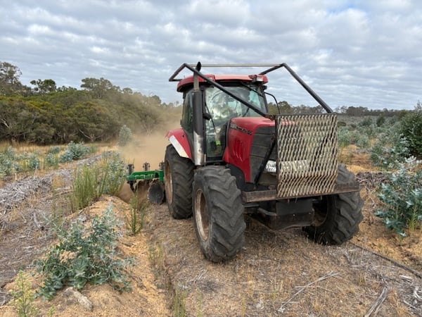 Established Plantation Contractor