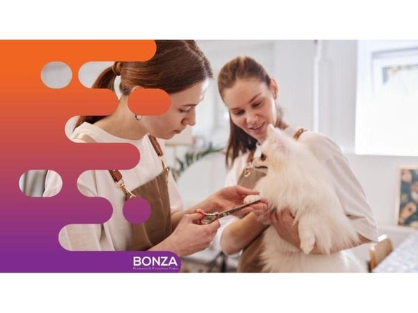 36834 - Dog Grooming, Daycare and Retail Space