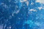 Pressure Cleaning And Gutter Cleaning