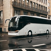 Established Mid North Coast Coach Tour Operator - 1031 image