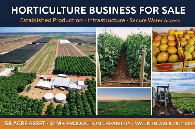 Horticulture Business & 58 Acre Asset | $1.5M+ Capability | Walk-In Walk-Out primary image