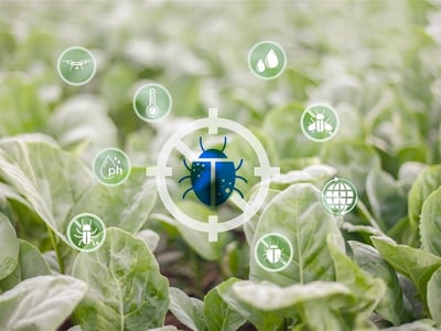 Chemical Free Pest Control Manufacturer & Retailer image