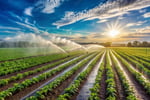 Water Infrastructure and Pump Specialist