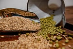 BREW YOUR DREAM BUSINESS SYDNEY\'S PREMIER HOME BREWING HUB FOR SALE