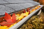 Highly Profitable Gutter Cleaning Business