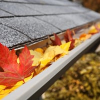 Highly Profitable Gutter Cleaning Business image