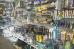 Sports, Camping, and Fishing Store plus Fashion Businesses - WA