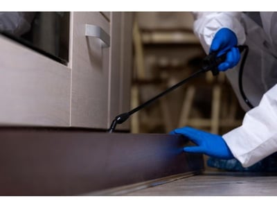 33024 Growing & Profitable Pest Control Business - 20+ Years image