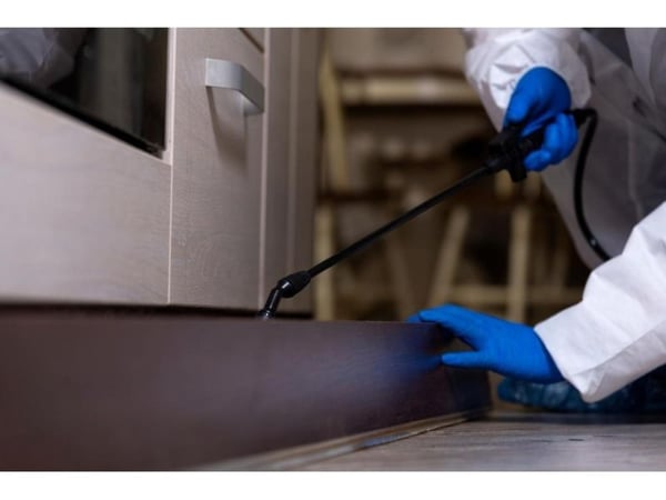 33024 Growing & Profitable Pest Control Business - 20+ Years
