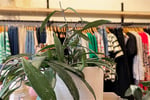 Fashion Boutique - Flexible Lifestyle Business