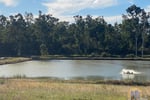 Established Freshwater Fish Hatchery & Supplier