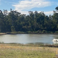 Established Freshwater Fish Hatchery & Supplier image