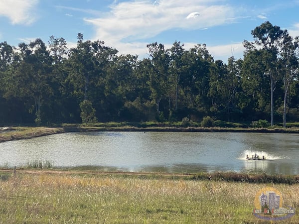 Established Freshwater Fish Hatchery & Supplier