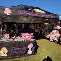 Turnkey Market Stall Business for Sale with 2022 LDV Deliver 9 Van image