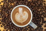 Established CBD Cafe for sale - 5883